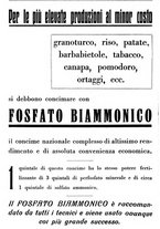 giornale/TO00181645/1935/unico/00000254