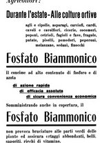 giornale/TO00181645/1935/unico/00000704