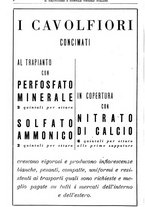 giornale/TO00181645/1937/unico/00000336