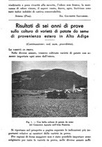 giornale/TO00181645/1938/unico/00000285