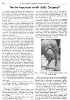 giornale/TO00181645/1946/unico/00000290