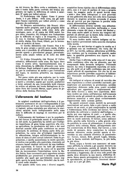 Commercio rivista mensile dell'economia commerciale italiana