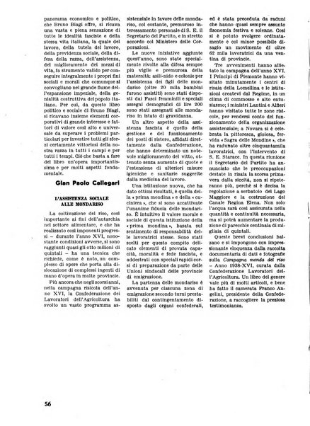 Commercio rivista mensile dell'economia commerciale italiana