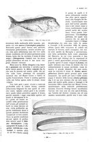 giornale/TO00181879/1923/unico/00000295