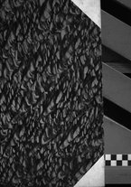 giornale/TO00181879/1924/unico/00000003