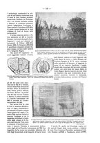 giornale/TO00181883/1926-1928/unico/00000407