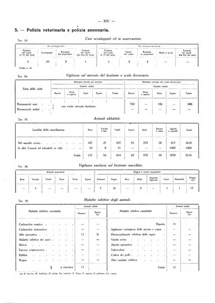 Il Comune della Spezia atti e statistiche