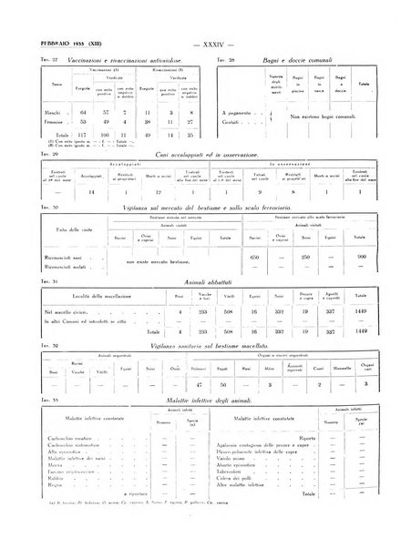 Il Comune della Spezia atti e statistiche