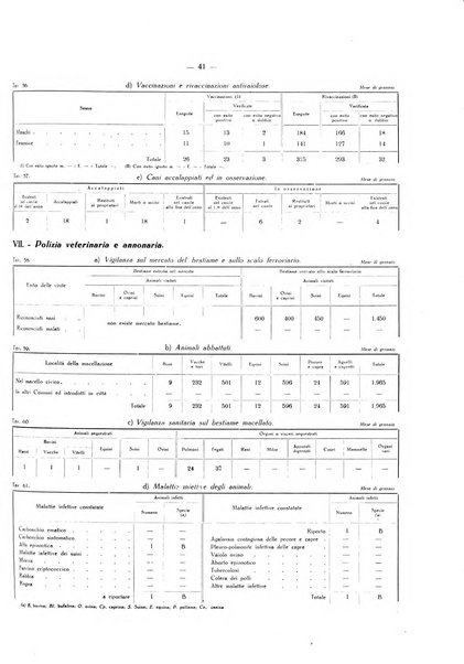 Il Comune della Spezia atti e statistiche