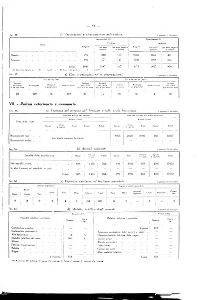 Il Comune della Spezia atti e statistiche