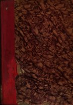 giornale/TO00181925/1919/unico/00000001