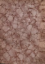 giornale/TO00181979/1908/unico/00000003