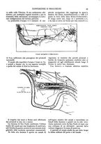 giornale/TO00181979/1908/unico/00000049