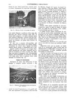 giornale/TO00181979/1909/unico/00000328