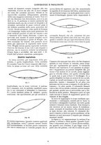 giornale/TO00181979/1910/unico/00000087