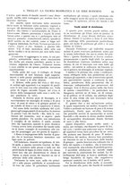 giornale/TO00181979/1913/unico/00000031