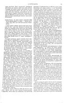 giornale/TO00181979/1914/unico/00000035