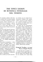 giornale/TO00182016/1930/unico/00000033