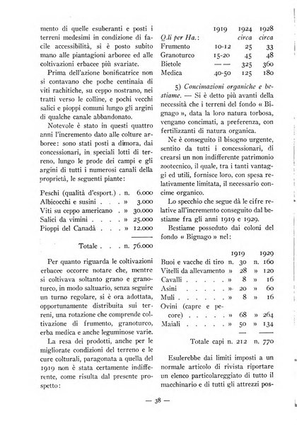 La conquista della terra rassegna dell'Opera nazionale per i combattenti