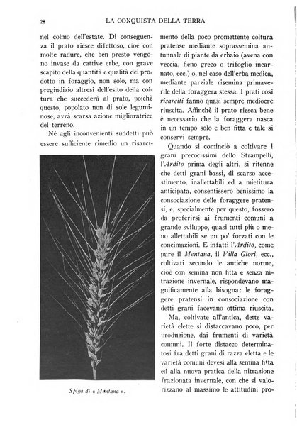 La conquista della terra rassegna dell'Opera nazionale per i combattenti