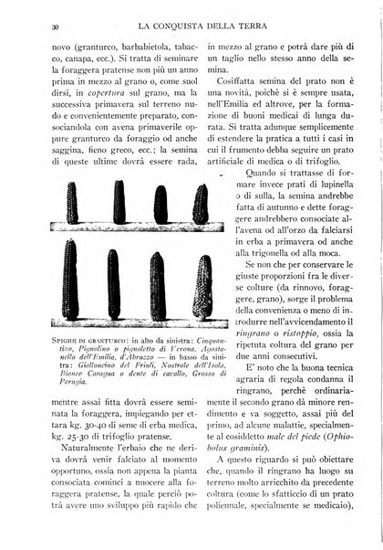 La conquista della terra rassegna dell'Opera nazionale per i combattenti