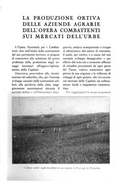 La conquista della terra rassegna dell'Opera nazionale per i combattenti