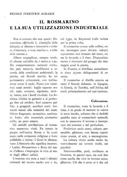 La conquista della terra rassegna dell'Opera nazionale per i combattenti