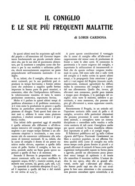 La conquista della terra rassegna dell'Opera nazionale per i combattenti