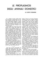 giornale/TO00182016/1936/unico/00000394