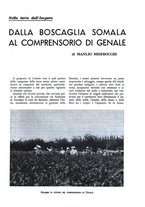 giornale/TO00182016/1936/unico/00000505