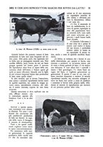 giornale/TO00182016/1936/unico/00000533