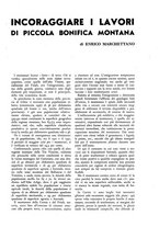 giornale/TO00182016/1938/unico/00000021