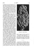 giornale/TO00182016/1938/unico/00000191