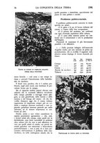 giornale/TO00182016/1938/unico/00000230