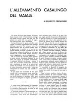 giornale/TO00182016/1938/unico/00000280