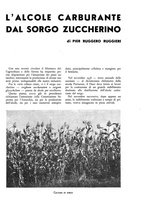 giornale/TO00182016/1940/unico/00000085