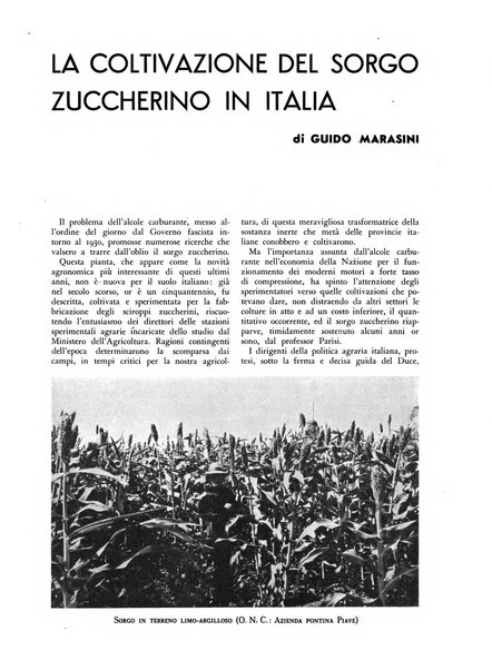 La conquista della terra rassegna dell'Opera nazionale per i combattenti