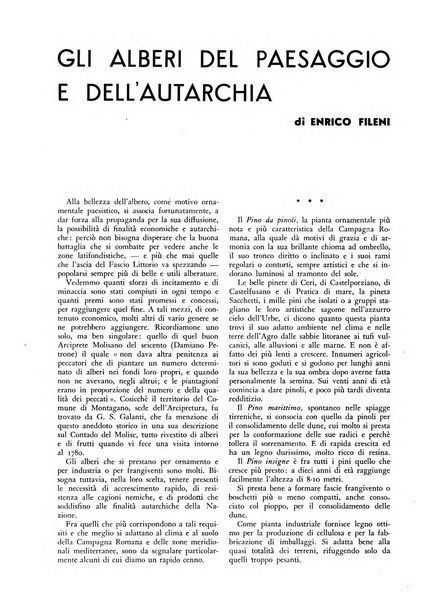 La conquista della terra rassegna dell'Opera nazionale per i combattenti