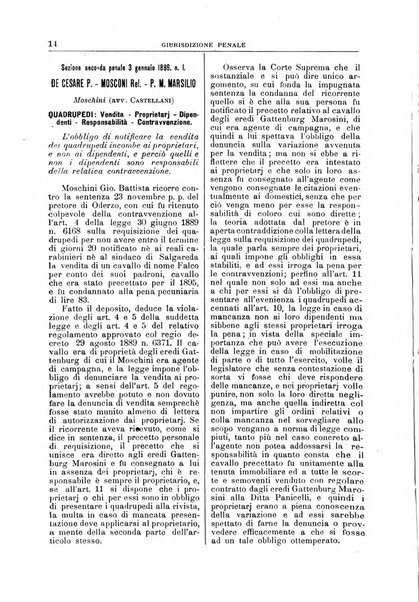 La Corte suprema di Roma raccolta periodica delle sentenze della Corte di cassazione di Roma