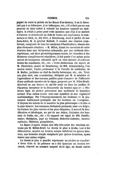 Le cosmos revue encyclopedique hebdomadaire des progres des sciences et de leurs applications aux arts et a l'industrie