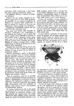 giornale/TO00182399/1929/unico/00000203