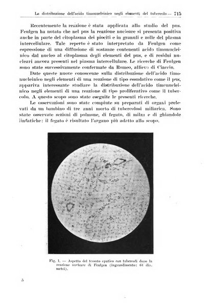 Croce rossa pubblicazione mensile del Comitato centrale