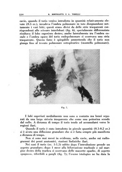 Croce rossa pubblicazione mensile del Comitato centrale