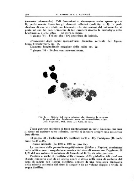 Croce rossa pubblicazione mensile del Comitato centrale