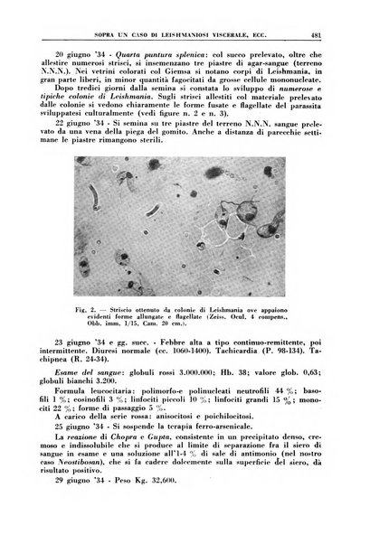 Croce rossa pubblicazione mensile del Comitato centrale