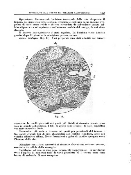 Croce rossa pubblicazione mensile del Comitato centrale