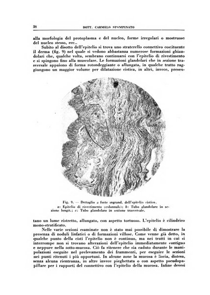 Croce rossa pubblicazione mensile del Comitato centrale