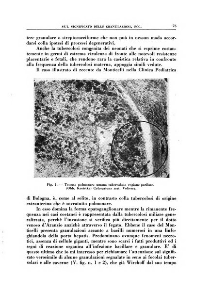 Croce rossa pubblicazione mensile del Comitato centrale