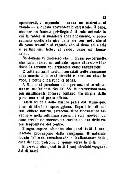 La cronaca grigia pubblicazione settimanale