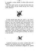 giornale/TO00182419/1865/V.6/00000181